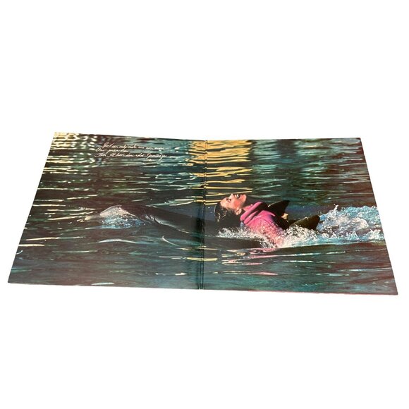 Vintage Olivia Newton John Physical Vinyl LP Record 1981 MCA Records Pop Album - Picture 3 of 7